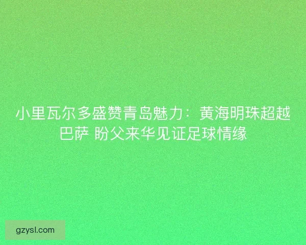 小里瓦尔多盛赞青岛魅力:黄海明珠超越巴萨 盼父来华见证足球情缘 小里瓦尔多盛赞青岛魅力:黄海明珠超越巴萨 盼父来华见证足球情缘