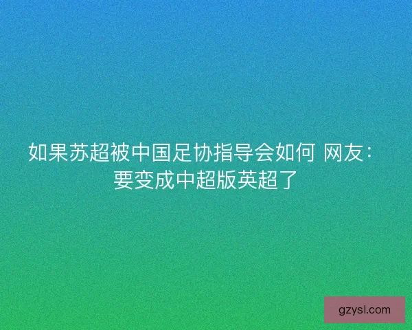 如果苏超被中国足协指导会如何 网友：要变成中超版英超了